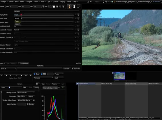 RE:Vision Effects Plugins in Baselight