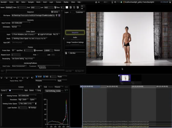 Twixtor in Baselight