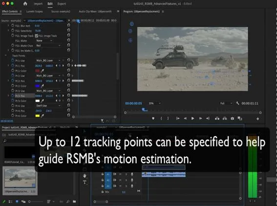 RSMB Pro - Mattes and Track Points