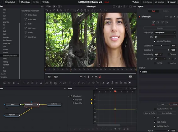 RE:Flex Morph in Resolve