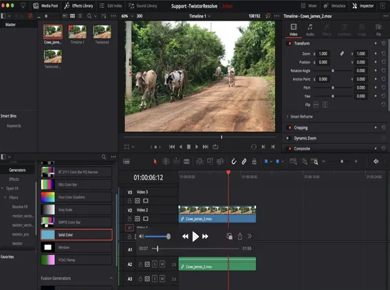 RE: Vision plugins in Resolve - Workarounds