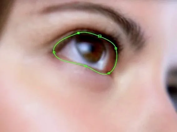 RE:Flex Warper Basics in AE - part 1