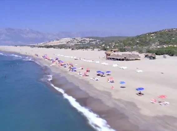 Frame Edge Issues and Twixtor