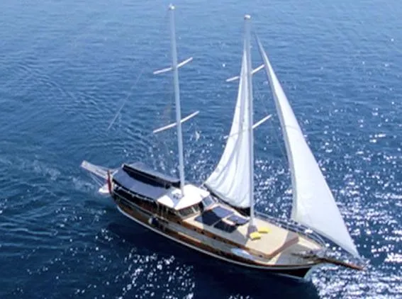 Twixtor in Avid MC: Progressive to Interlaced and Vice Versa