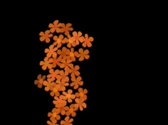 A visual example of birth and death rates